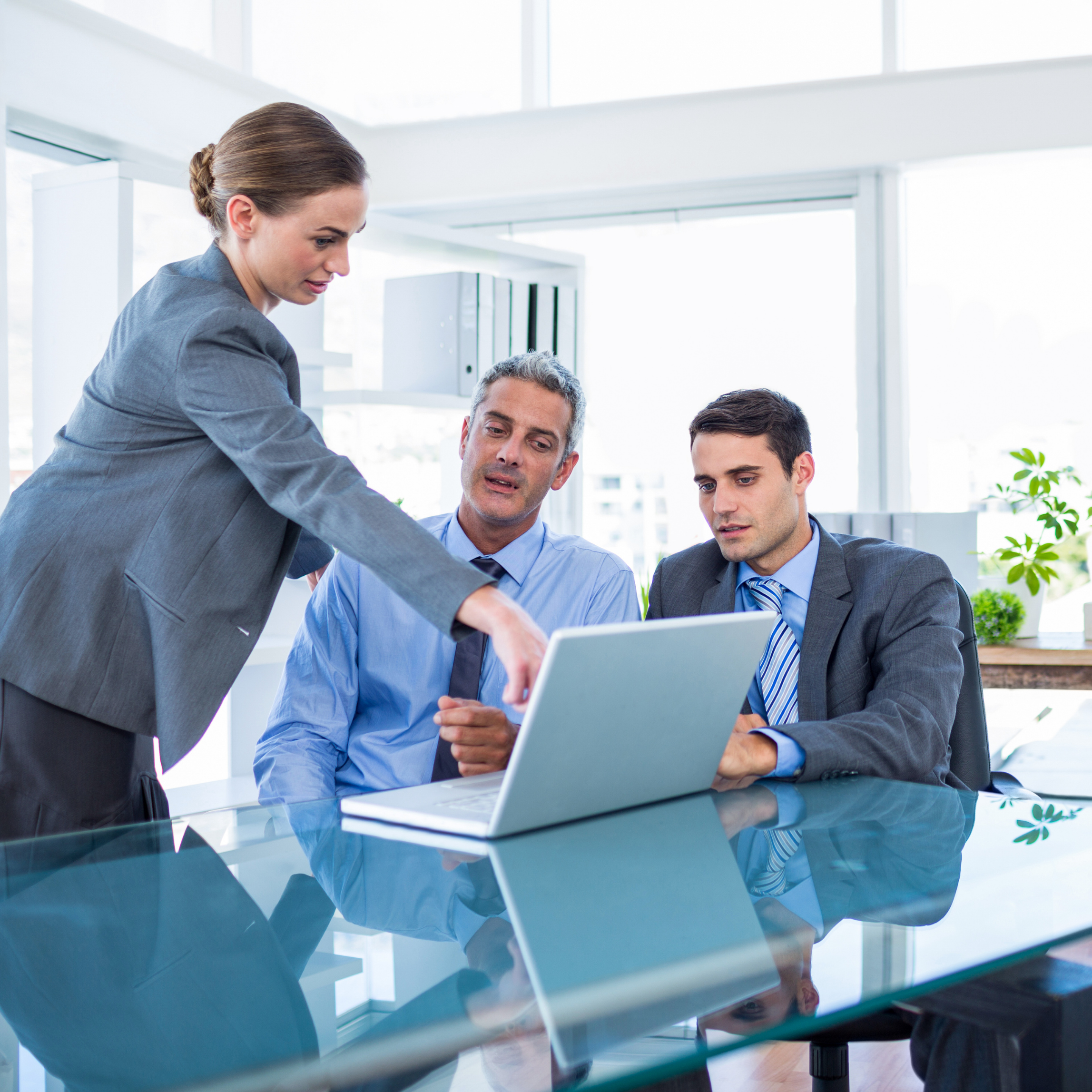 Business Assistance in